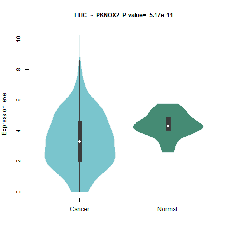 PKNOX2 _LIHC.png